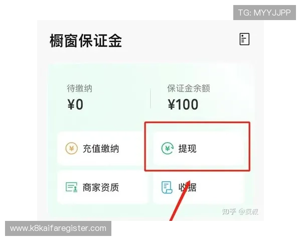 凯发网页版高效充值提现流程保障玩家资金安全与便捷